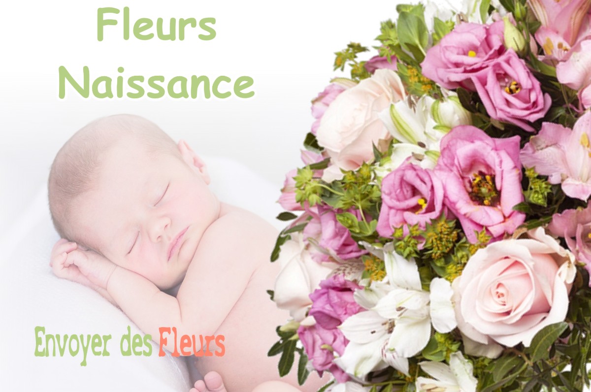 lIVRAISON FLEURS NAISSANCE à LABASTIDE-BEAUVOIR