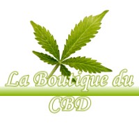 LA BOUTIQUE DU CBD LABASTIDE-BEAUVOIR 